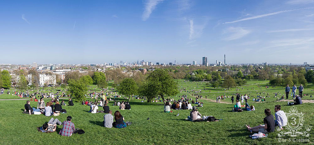 Central London as viewed from Primrose Hill