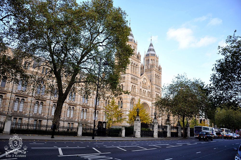 Natural History Museum